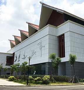 廣西崇左東盟國際職業技術學院