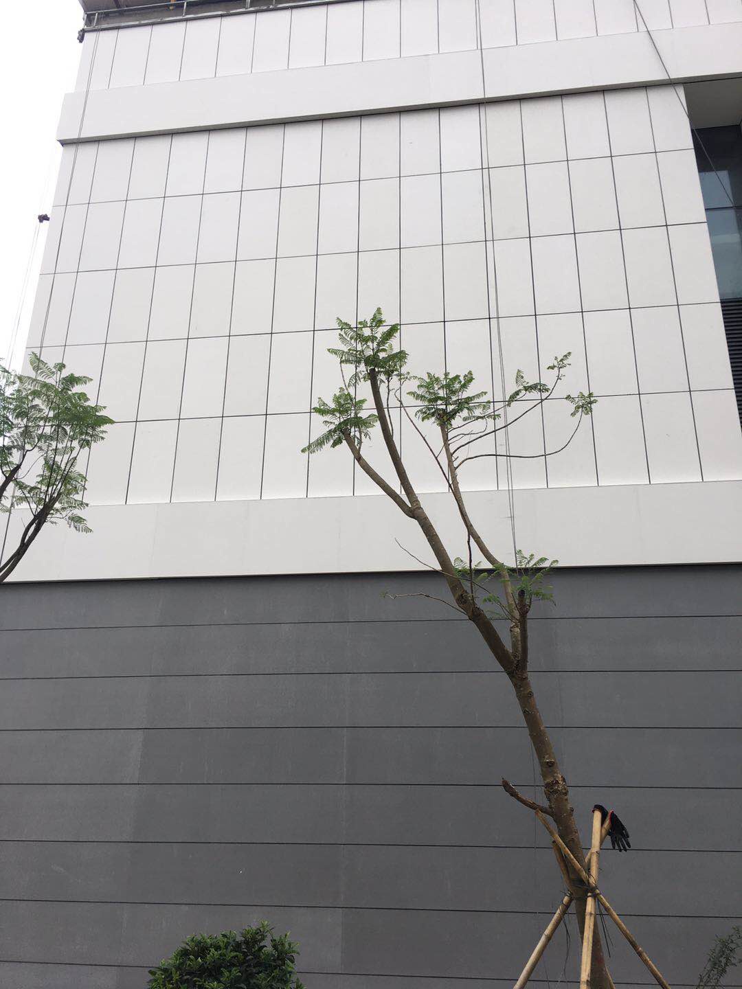 擠塑成型中空水泥掛板的適（shì）應性